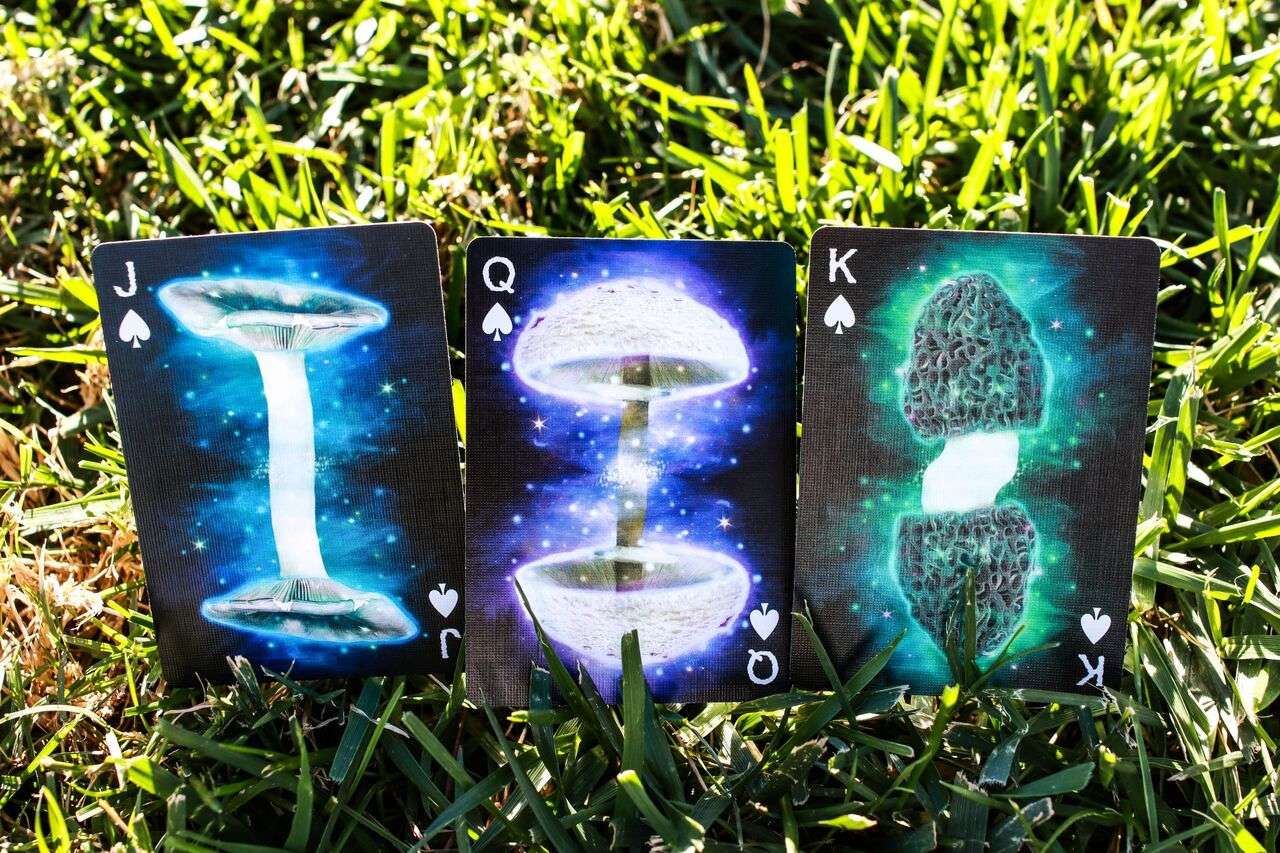 PlayingCardDecks.com-Fungi Mystic Mushrooms Mycological Playing Cards USPCC