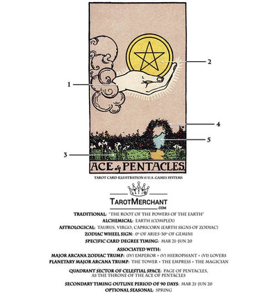 Tarot Card Meanings with Infographic: Ace of Pentacles