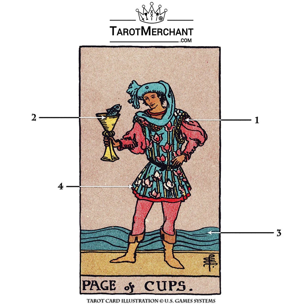 Tarot Card Meanings with Infographic: Page of Cups
