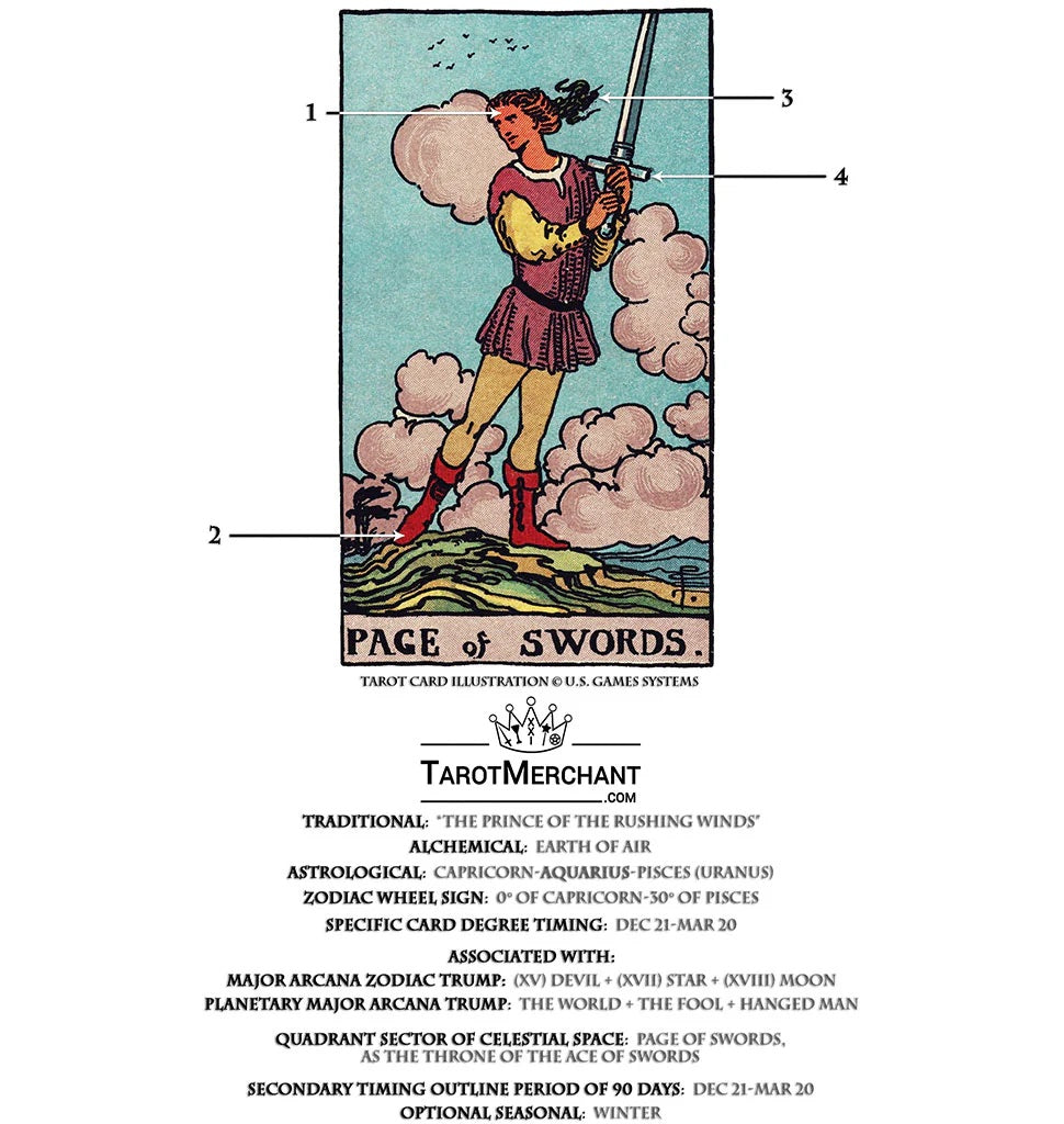 Tarot Card Meanings with Infographic: Page of Swords