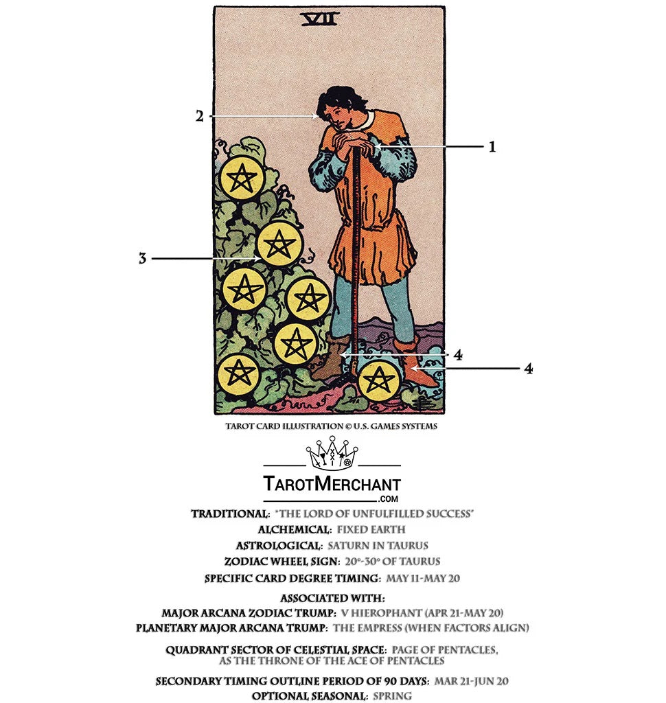 Tarot Card Meanings with Infographic: Seven of Pentacles