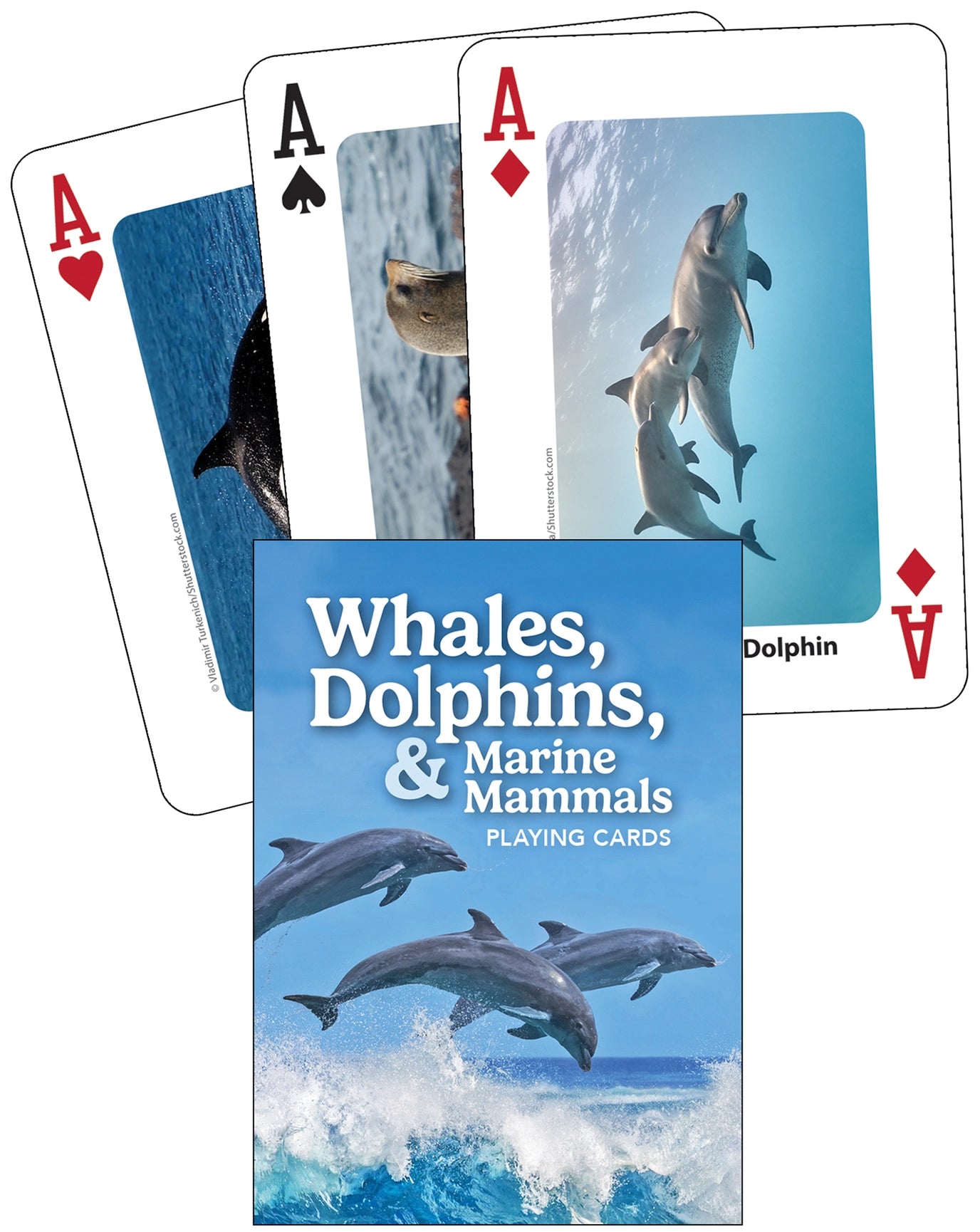 Whales, Dolphins, and Marine Mammals Playing Cards