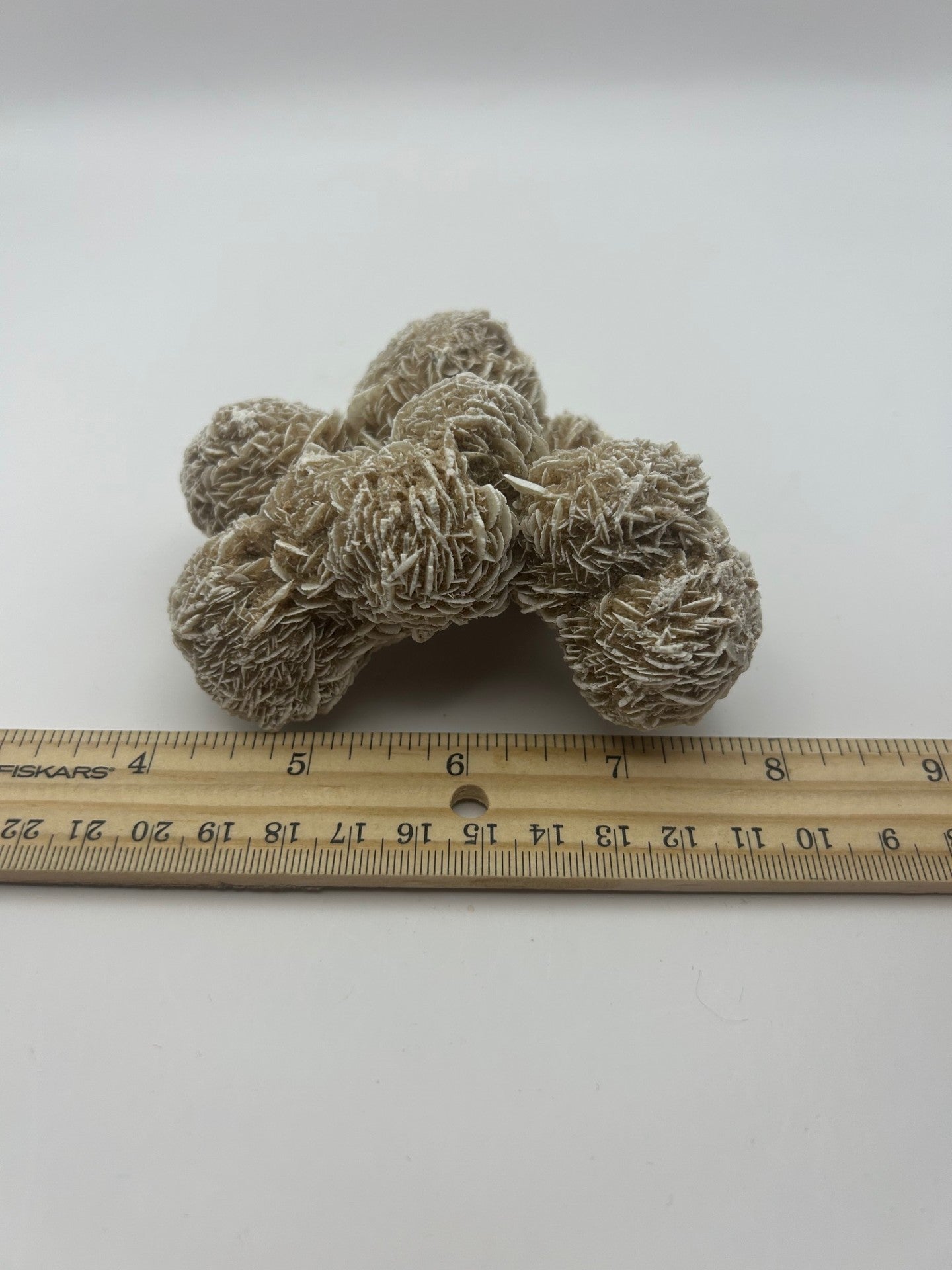 Desert Rose Cluster