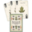 Reptiles & Amphibians Playing Cards