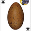 Bird Eggs Playing Cards
