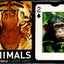 Animals of the Wild Playing Cards by Piatnik