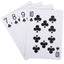 Night Raven Playing Cards