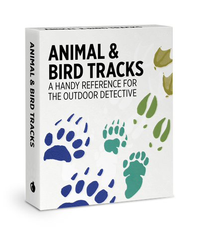 Animal & Bird Tracks: A Handy Reference For the Outdoor Detective Knowledge Cards