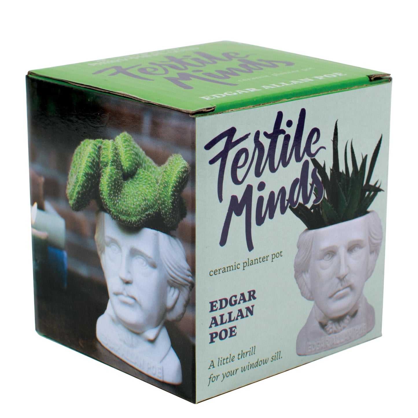 Edgar Allan Poe Mini Planter