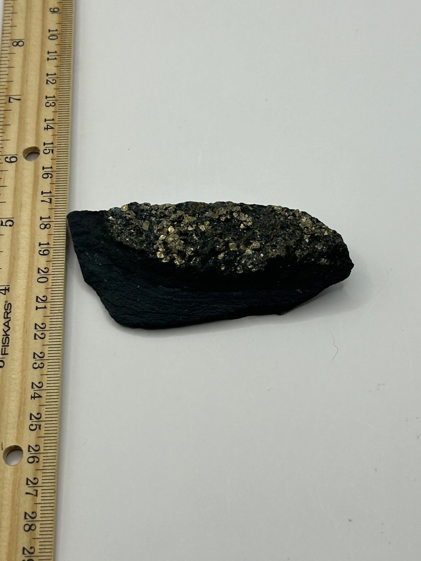 Pyrite on Shungite from Brazil