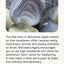 Crystal Message Cards Deck