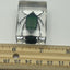 Green Chafer Beetle in Resin