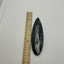 Orthoceras Fossil Spear