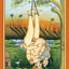 Kamasutra Tarot: Sensual Enlightenment & Erotic Wisdom