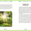 Celtic Magic Book & Card Deck