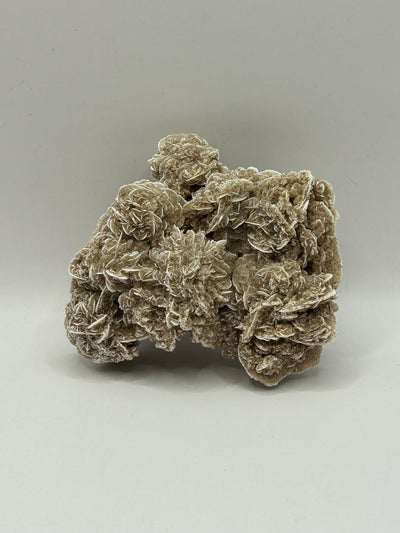 Desert Rose Cluster