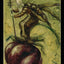 Tarot of the Secret Forest Deck Lo Scarabeo