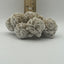 Desert Rose Cluster