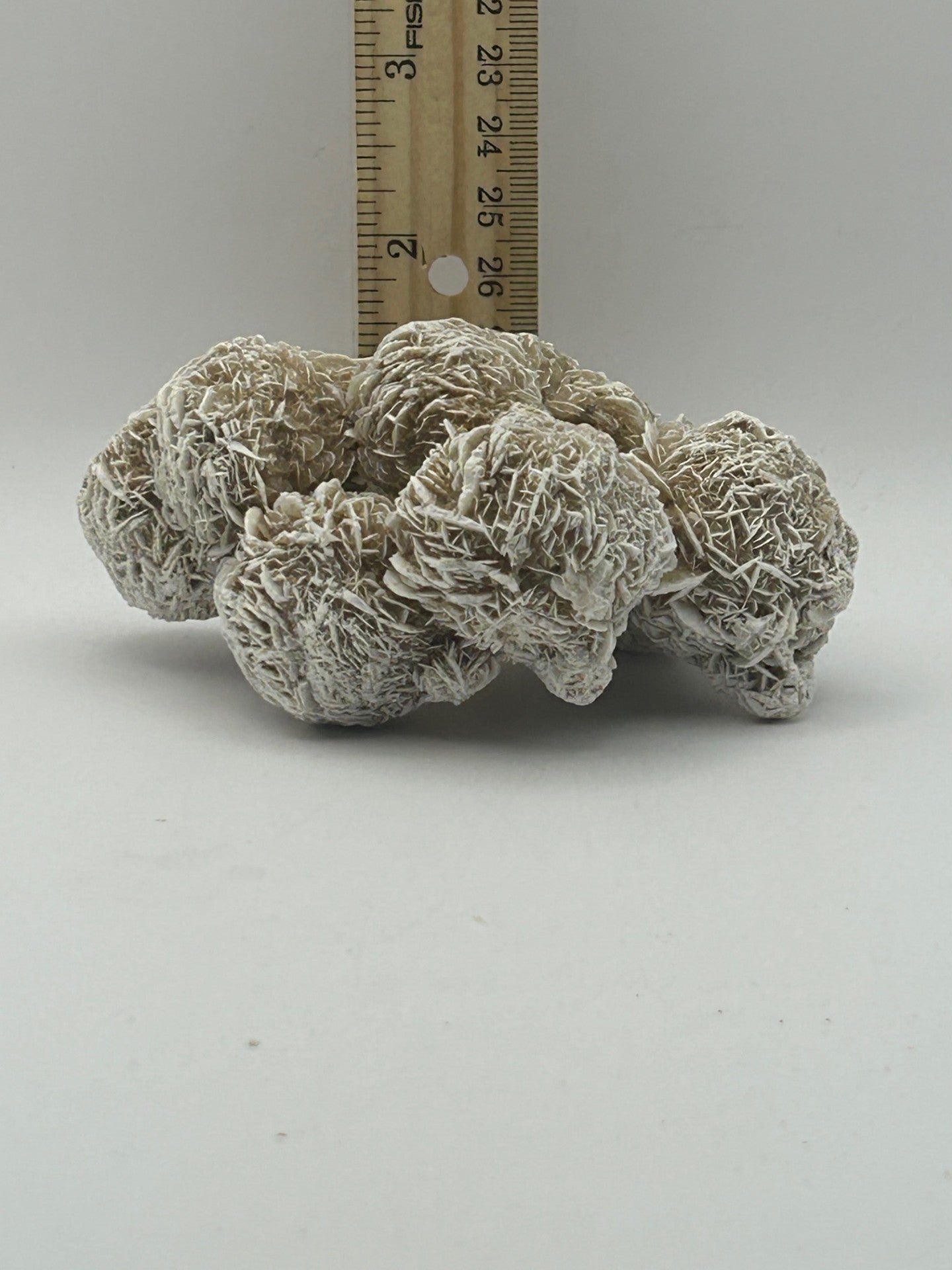 Desert Rose Cluster
