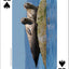 Whales, Dolphins, and Marine Mammals Playing Cards