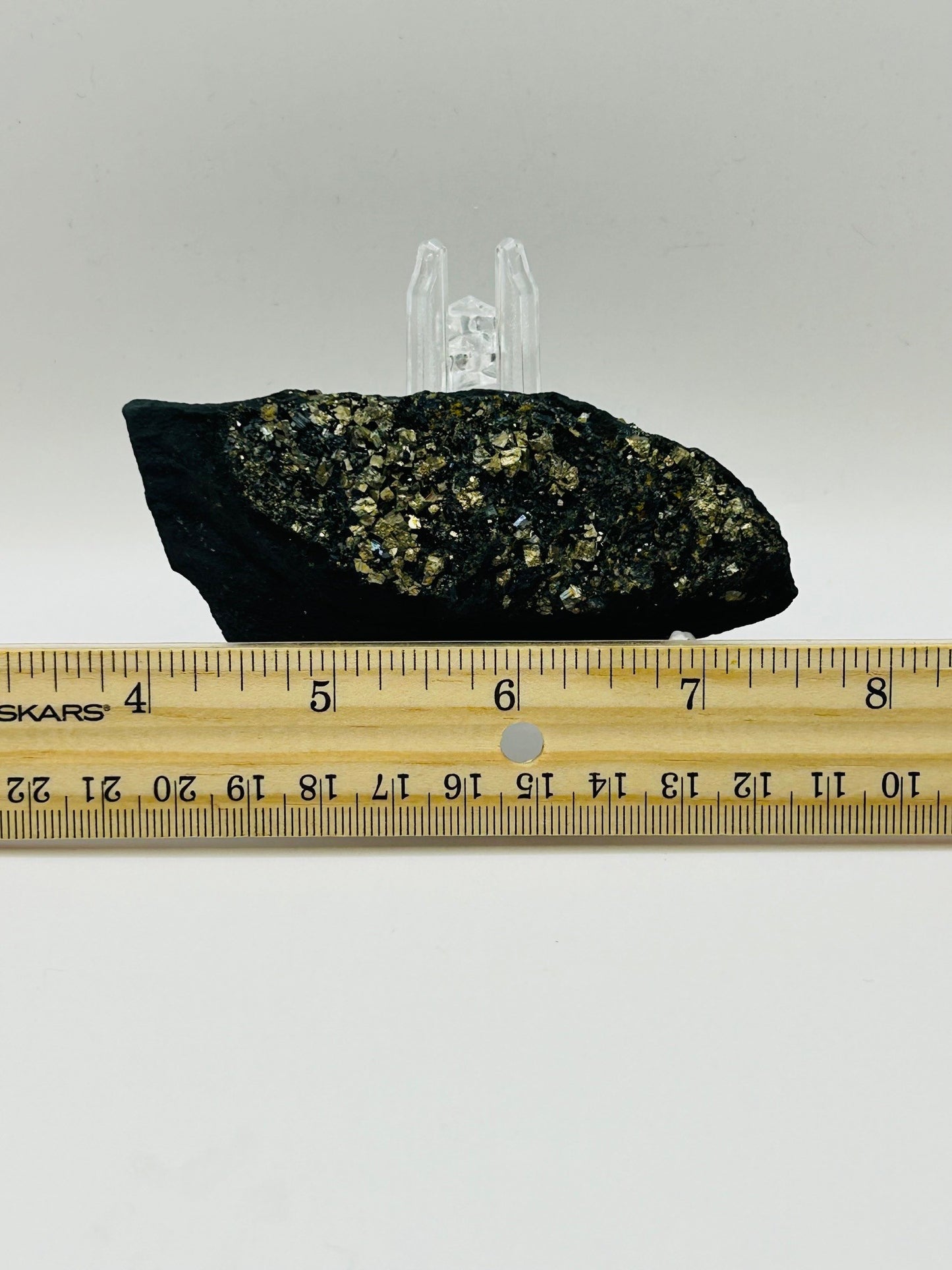 Pyrite on Shungite from Brazil