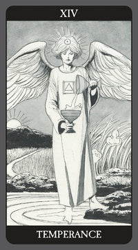 Dark Side of Tarot Kit - Deck & Book