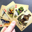 An Unnatural History Playing Cards