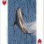 Whales, Dolphins, and Marine Mammals Playing Cards
