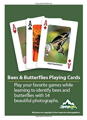 PlayingCardDecks.com-Bees & Butterflies Playing Cards