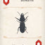 Beetles Playing Cards