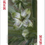 Wildflowers of Southwest Playing Cards