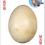 Bird Eggs Playing Cards