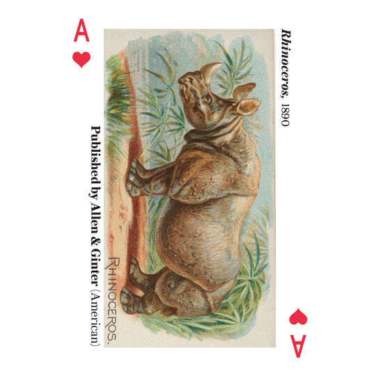 PlayingCardDecks.com-Animals of the Met Playing Cards USPCC