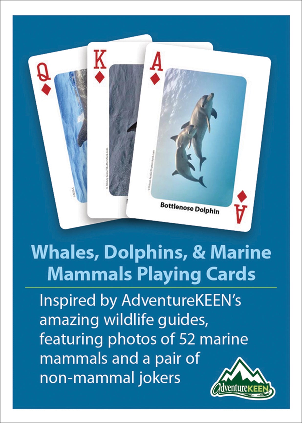 Whales, Dolphins, and Marine Mammals Playing Cards