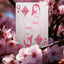 Disney Princess Inspired Pink Bicycle Playing Cards