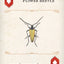 Beetles Playing Cards