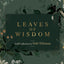 Leaves of Wisdom Cards
