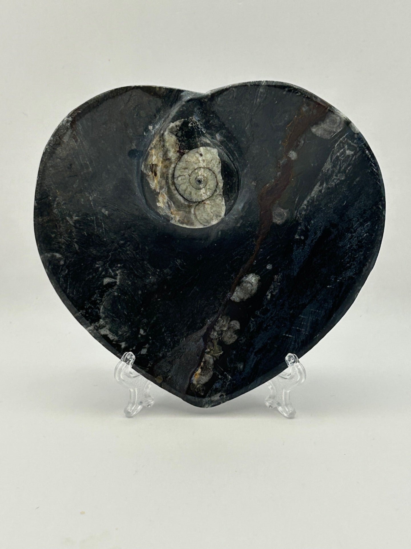 Orthoceras Fossil Heart Shaped Dish