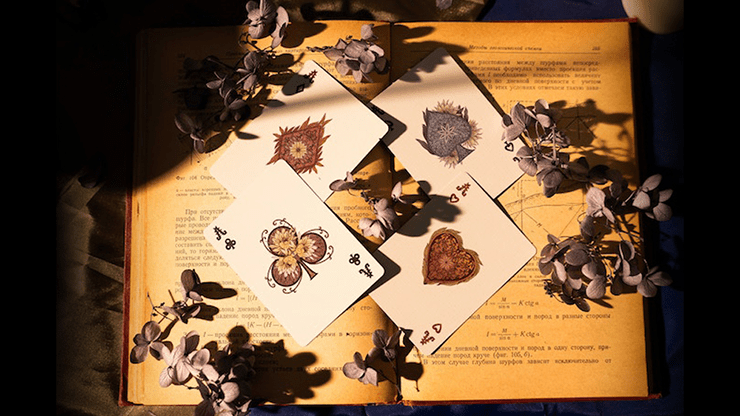 PlayingCardDecks.com-Epiphyllum Playing Cards