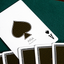 Pina (Marked) Playing Cards by Victor Pina and Ondrej Psenicka