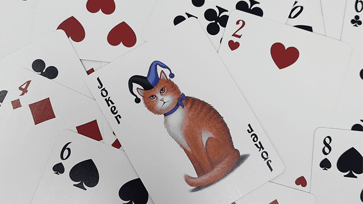 PlayingCardDecks.com-Bicycle Poker Cats Playing Cards