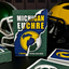 Michigan Euchre Playing Cards - Are You Ready for A Card Table Divided?