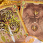 King Arthur V2 Playing Cards - Golden Dawn by KING STAR