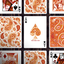 Paisley Ton sur Ton Poudre Orange workers Deck