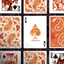 Paisley Ton sur Ton Poudre Orange Foil Designer's Choice