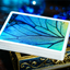 Prism Blue Morpho Playing Cards by TCC Fashion