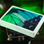 Emerald Green Morpho Playing Cards by TCC Fashion