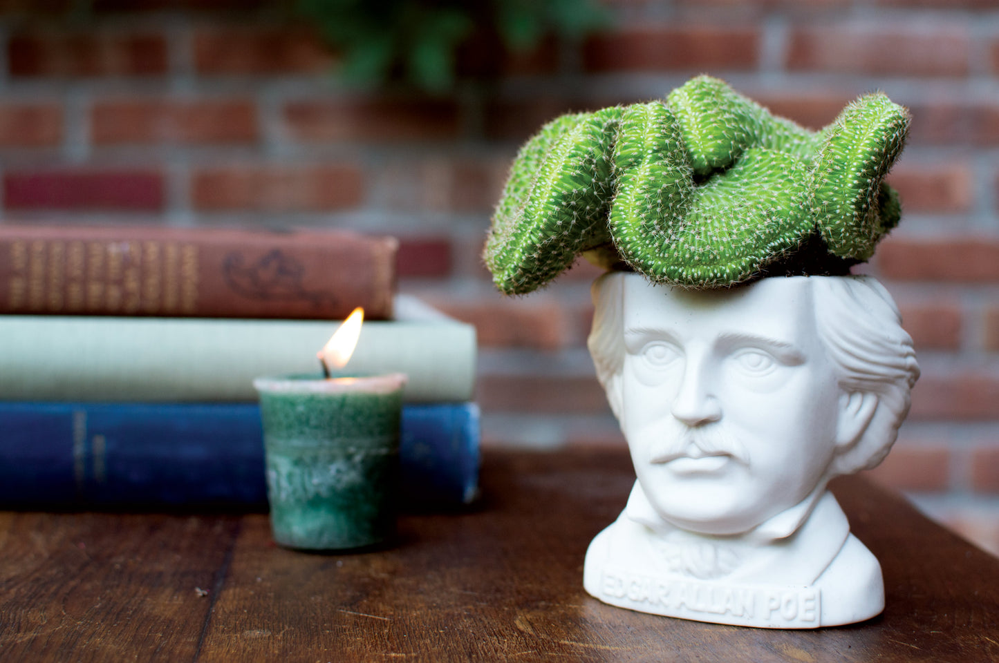 Edgar Allan Poe Mini Planter