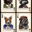Dogs: A Fetching Deck Playing Cards