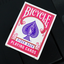 Mini Bicycle Cards - Fuchsia